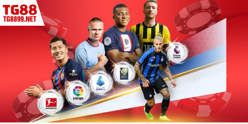 Mẹo cược thể thao tân thủ cần nắm