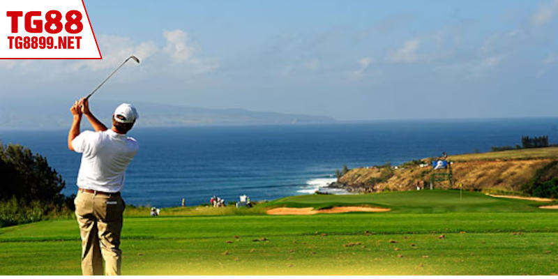 Một số điều bạn cần chú ý để cá cược an toàn